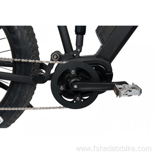 Unique Design Fat Tire Mountain Bicycle